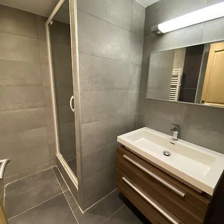 Boost Your Immo Bel Alp 404 Apartment Les Deux Alpes